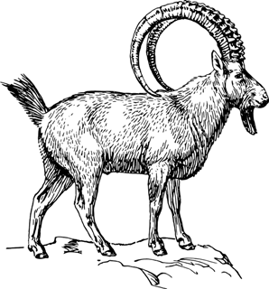 znaki-zodiaku-sennik.pl