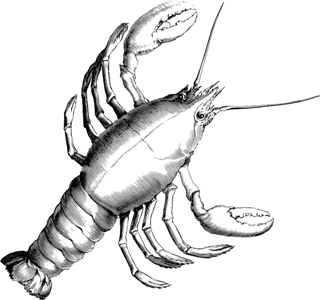 znaki-zodiaku-sennik.pl